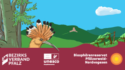 Biosphärenreservat Pfälzerwald – Entwicklung und Bewerbung von buchbaren, nachhaltigen touristischen Erlebnisangeboten mit den BR-PartnerInnen